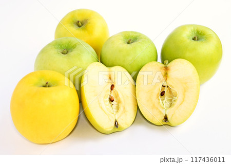 りんご（メルシー） 117436011