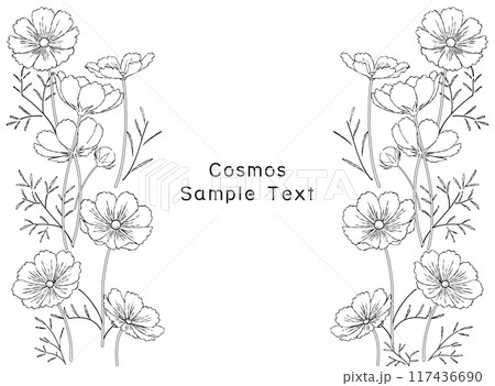 手描きのコスモス畑の線画フレームイラスト 117436690