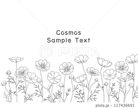 手描きのコスモス畑の線画フレームイラスト 117436691