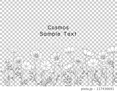 手描きのコスモス畑の線画フレームイラスト 117436691