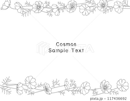 手描きのコスモス畑の線画フレームイラスト 117436692