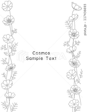 手描きのコスモス畑の線画フレームイラスト 117436693