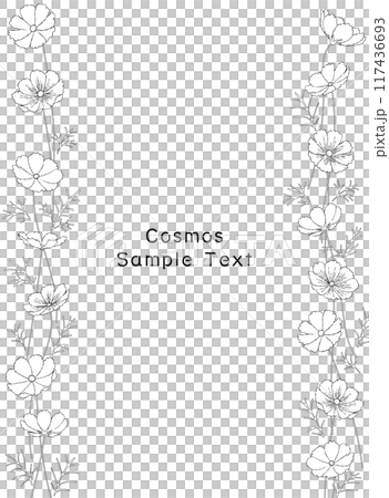 手描きのコスモス畑の線画フレームイラスト 117436693