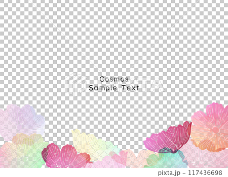 カラフルなコスモス畑のフレーム背景イラスト 117436698
