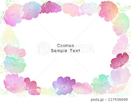 カラフルなコスモス畑のフレーム背景イラスト 117436699