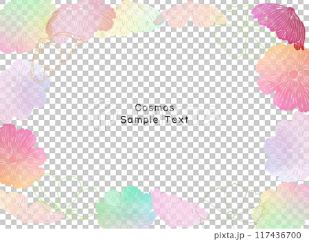 カラフルなコスモス畑のフレーム背景イラスト 117436700