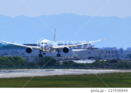 大阪国際空港 JAL 飛行機 着陸態勢 スカイパーク 大阪国際空港 JAL 飛行機 着陸態勢 スカイパーク 117436844