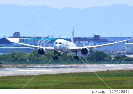 大阪国際空港 JAL 飛行機 着陸態勢 スカイパーク 大阪国際空港 JAL 飛行機 着陸態勢 スカイパーク 117436845
