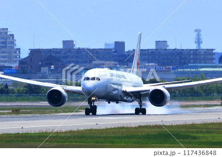 大阪国際空港　JAL　飛行機　着陸態勢　スカイパーク 117436848