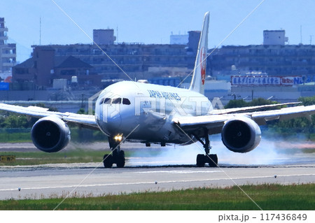 大阪国際空港 JAL 飛行機 着陸態勢 スカイパーク 大阪国際空港 JAL 飛行機 着陸態勢 スカイパーク 117436849