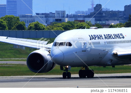 大阪国際空港　JAL　飛行機　着陸態勢　スカイパーク 117436851