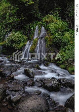 山梨県北斗市　新緑の吐竜の滝 117436959