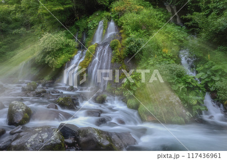 山梨県北斗市 新緑の吐竜の滝 山梨県北斗市 新緑の吐竜の滝 117436961