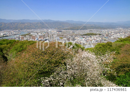 五台山公園からの眺望・高知市の街並み(高知県・高知市) 五台山公園からの眺望・高知市の街並み(高知県・高知市) 117436981