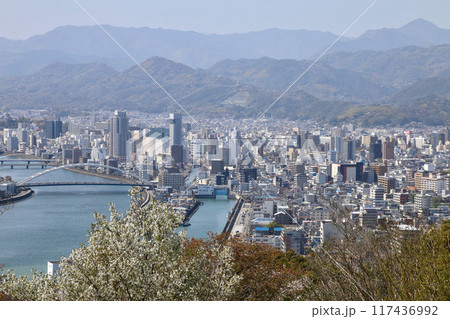 五台山公園からの眺望・高知市の街並み(高知県・高知市) 五台山公園からの眺望・高知市の街並み(高知県・高知市) 117436992