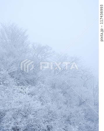 霧に包まれる霧氷の山並み 霧に包まれる霧氷の山並み 117436993