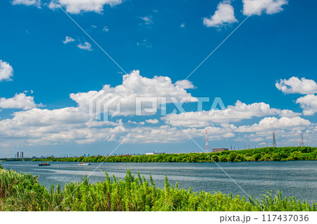 淀川夏景色 117437036