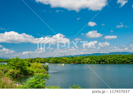 淀川夏景色 淀川夏景色 117437037