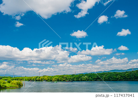 淀川夏景色 117437041