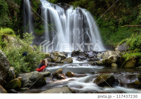 山梨県北斗市 新緑の千ヶ滝 山梨県北斗市 新緑の千ヶ滝 117437230
