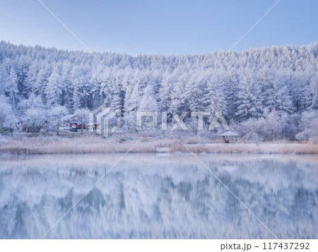 長野聖高原_湖と霧氷の絶景風景 長野聖高原_湖と霧氷の絶景風景 117437292