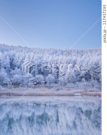 長野聖高原_湖と霧氷の絶景風景 長野聖高原_湖と霧氷の絶景風景 117437293