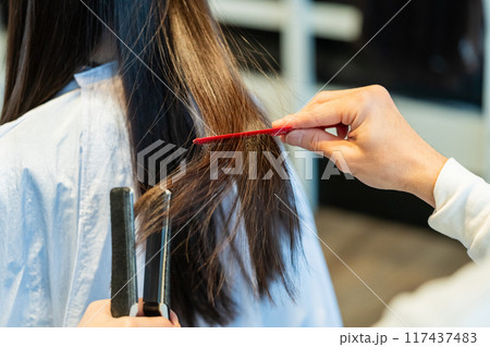 beauty parlor 117437483