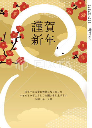 巳年年賀状_1 巳年年賀状_1 117437571