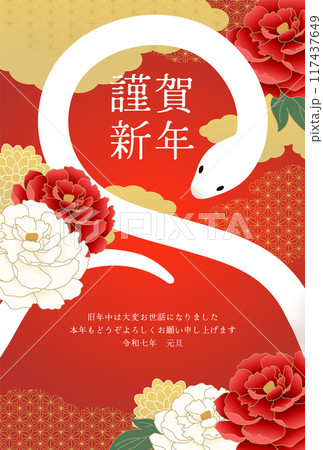 巳年年賀状_11 巳年年賀状_11 117437649