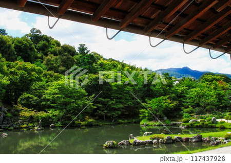 京都散策ー天龍寺・嵯峨野・渡月橋 京都散策ー天龍寺・嵯峨野・渡月橋 117437928