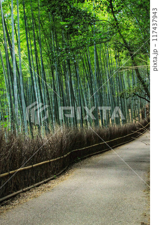 京都散策ー天龍寺・嵯峨野・渡月橋 117437943