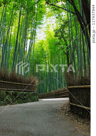 京都散策ー天龍寺・嵯峨野・渡月橋 京都散策ー天龍寺・嵯峨野・渡月橋 117437944