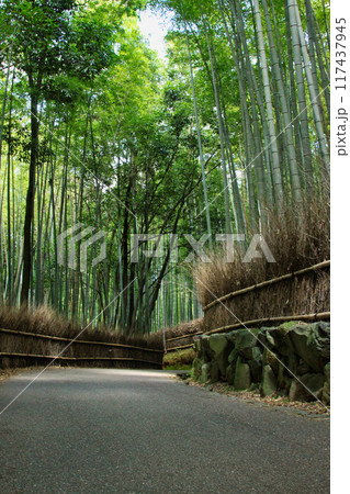 京都散策ー天龍寺・嵯峨野・渡月橋 京都散策ー天龍寺・嵯峨野・渡月橋 117437945