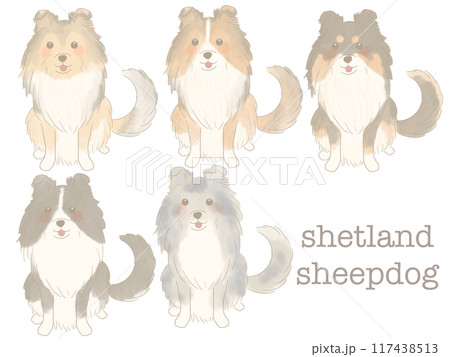 おすわりするシェットランドシープドッグ　セット 117438513