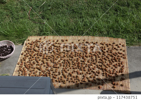 梅干し　天日乾燥 117438751