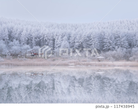 長野聖高原_湖と霧氷の絶景風景 長野聖高原_湖と霧氷の絶景風景 117438945
