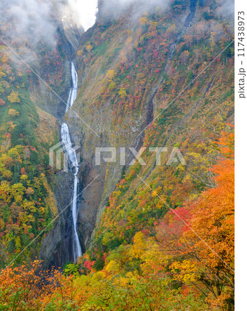 富山_紅葉に染まる称名滝の絶景風景 117438973