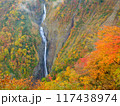 富山_紅葉に染まる称名滝の絶景風景 117438974