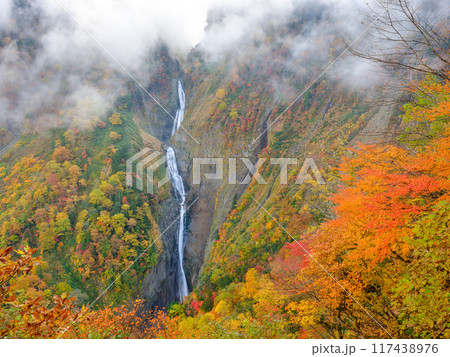 富山_紅葉に染まる称名滝の絶景風景 富山_紅葉に染まる称名滝の絶景風景 117438976