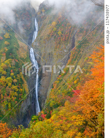富山_紅葉に染まる称名滝の絶景風景 富山_紅葉に染まる称名滝の絶景風景 117438977