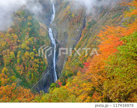 富山_紅葉に染まる称名滝の絶景風景 富山_紅葉に染まる称名滝の絶景風景 117438978