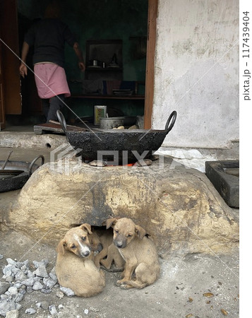 寒い日のぬくもり　It's so cold 117439404