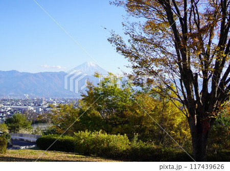 秋の郊外から望む富士山 秋の郊外から望む富士山 117439626