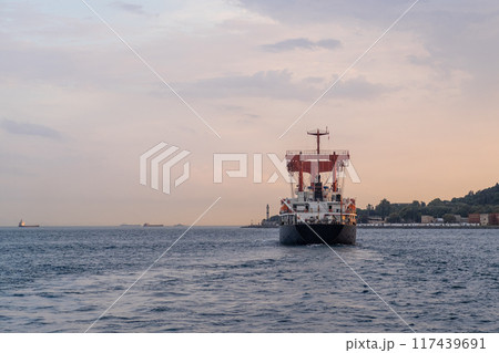Cargo ship moving through the Bosphorus near Istanbul, highlighting the busy maritime route and city backdrop. Ideal for trade and logistics content Cargo ship moving through the Bosphorus near Istanbul, highlighting the busy maritime route and city backdrop. Ideal for trade and logistics content 117439691