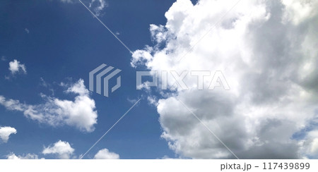 青空と雲の対比 117439899