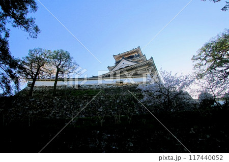 高知城・城郭(高知県・高知市) 高知城・城郭(高知県・高知市) 117440052