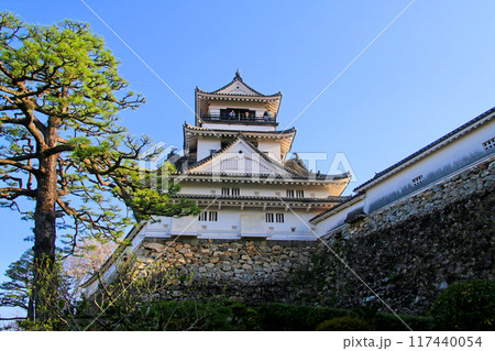 高知城・城郭(高知県・高知市) 高知城・城郭(高知県・高知市) 117440054