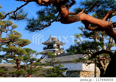 高知城・城郭(高知県・高知市) 高知城・城郭(高知県・高知市) 117440059