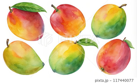 Watercolor collection of papaya with leaf isolated on white background 117440077