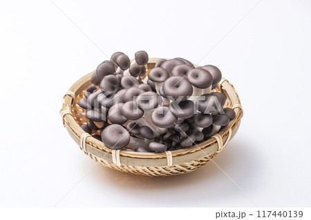 ひらたけしめじ ヒラタケシメジ 旨みがあるきのこ ザルに盛られたきのこ ひらたけしめじ ヒラタケシメジ 旨みがあるきのこ ザルに盛られたきのこ 117440139